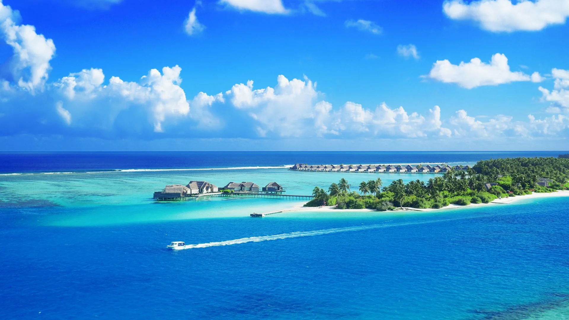 Escape to Tropical Paradise